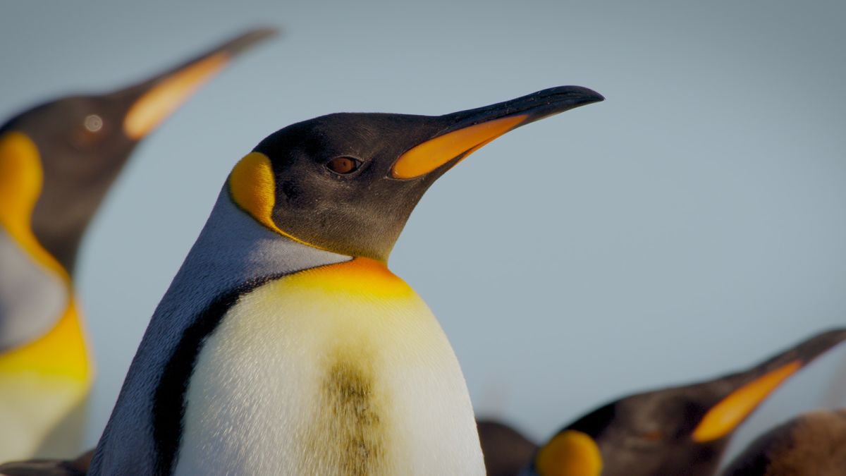 Stunning landscapes of Tierra del Fuego