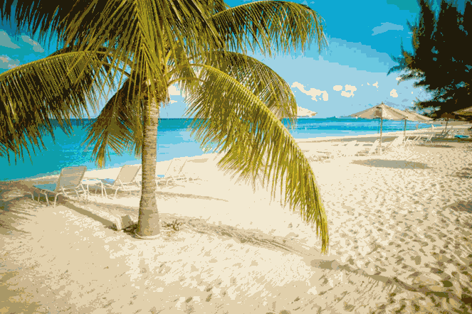 Exploring the underwater world of the Cayman Islands