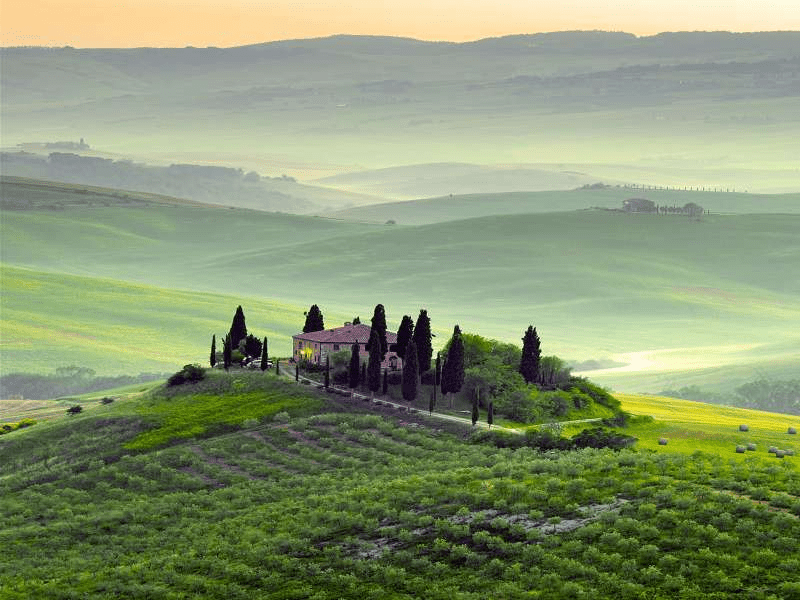 Scenic view of Chianti vineyards