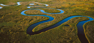 Mokoro ride in Okavango Delta