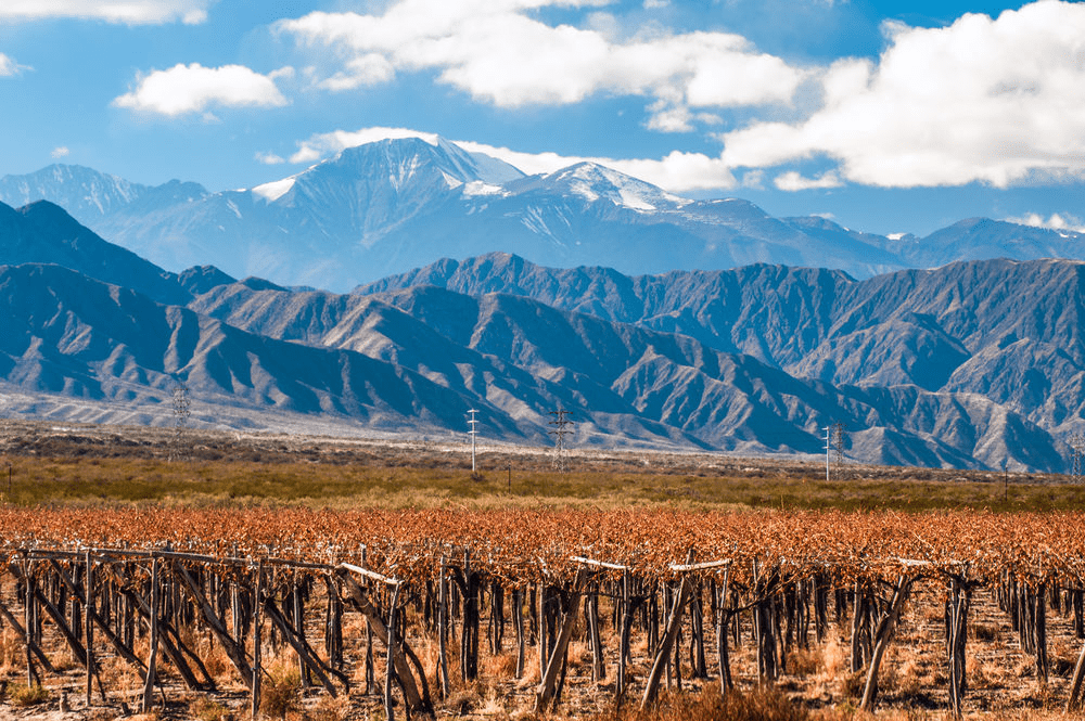 South American Sojourns Wine Tasting In Argentina Mendoza Region 4
