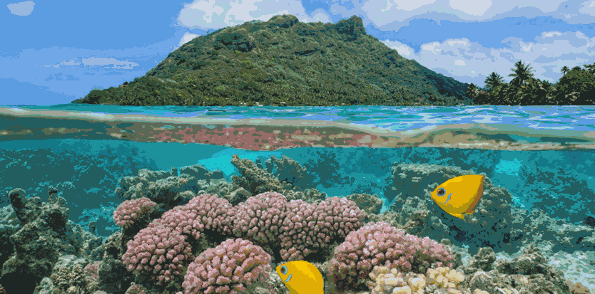South Pacific Secrets Diving With Sharks In French Polynesia Tuamotu Archipelago 3