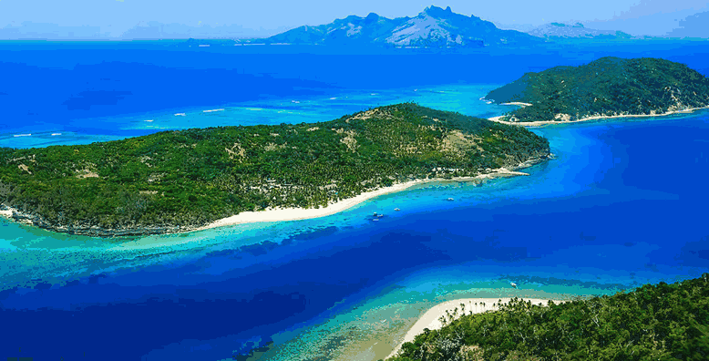 Vibrant Coral Gardens in Tonga