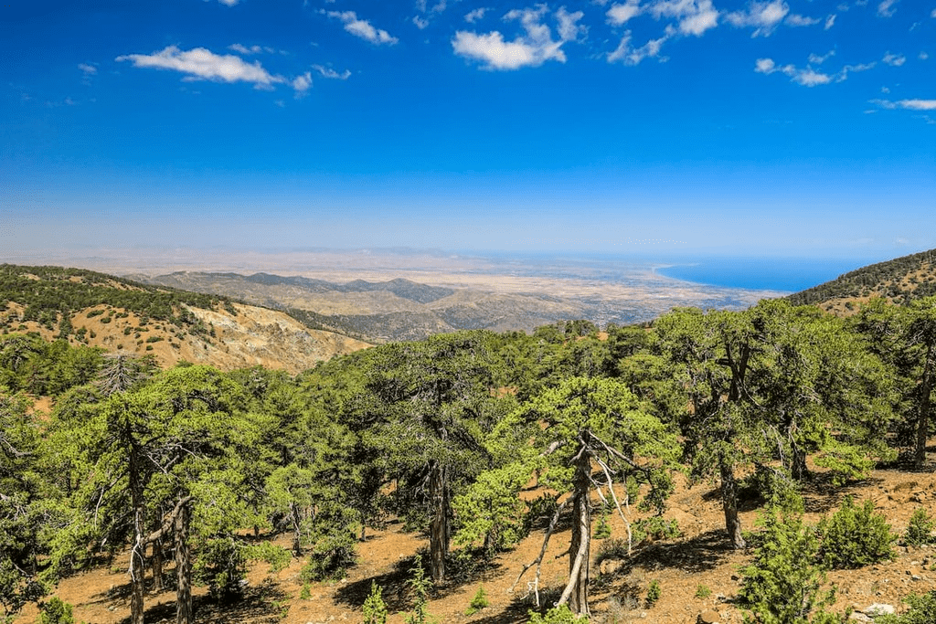 Hiking trails in Troodos Mountains