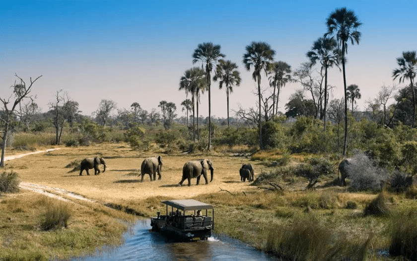 Canoe safari in the Okavango Delta