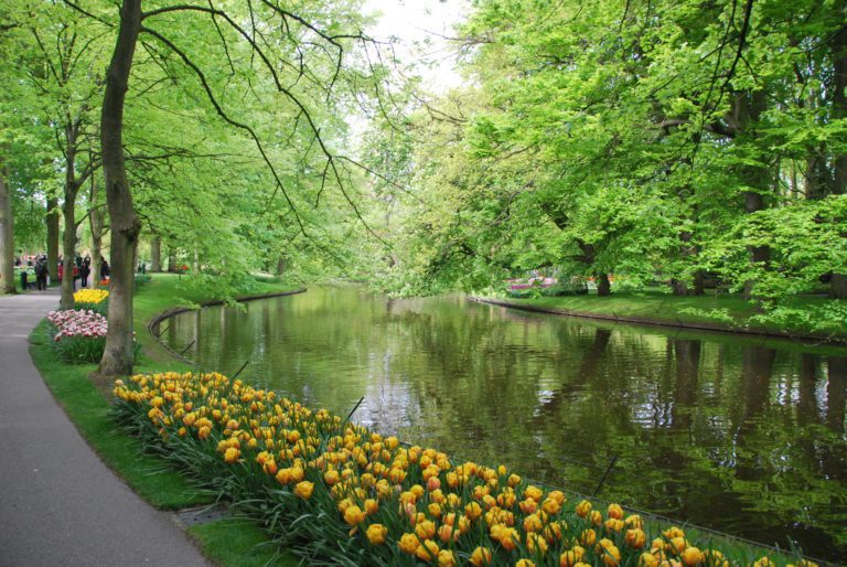 Amsterdam Awaits A Photographer Paradise In The Netherlands Mfrh Original