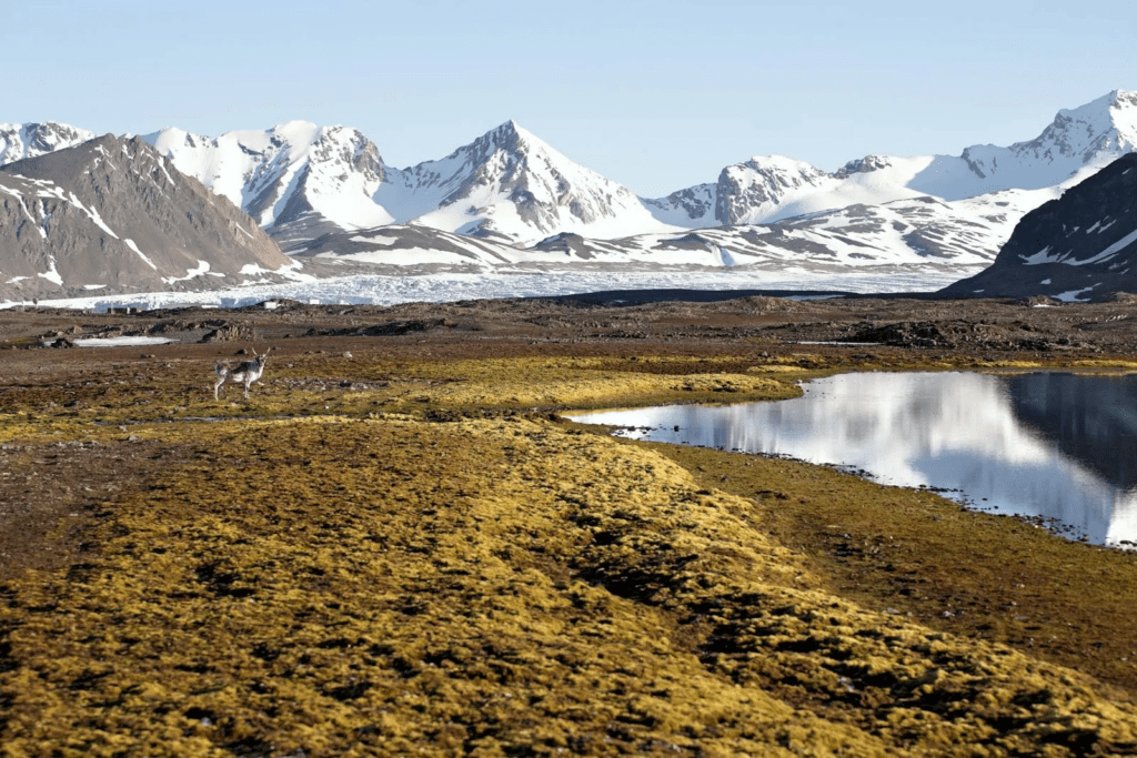 Arctic Archipelago A Day Of Exploration In Svalbard