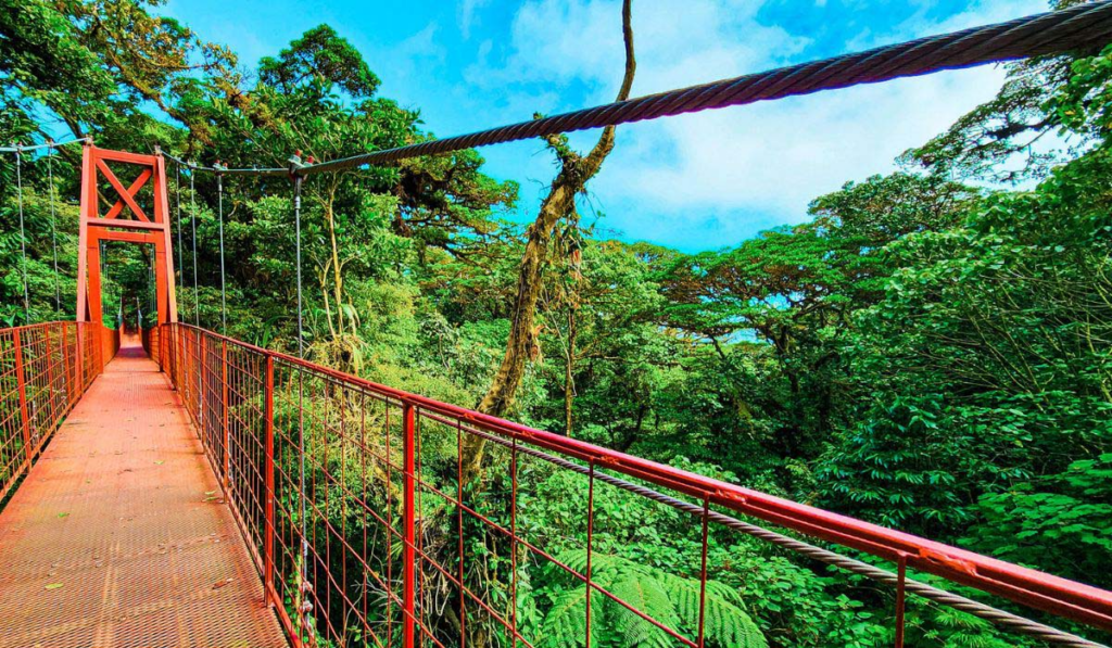 Costa Rican Canopy A Day Of Thrills In The Monteverde Cloud Forest