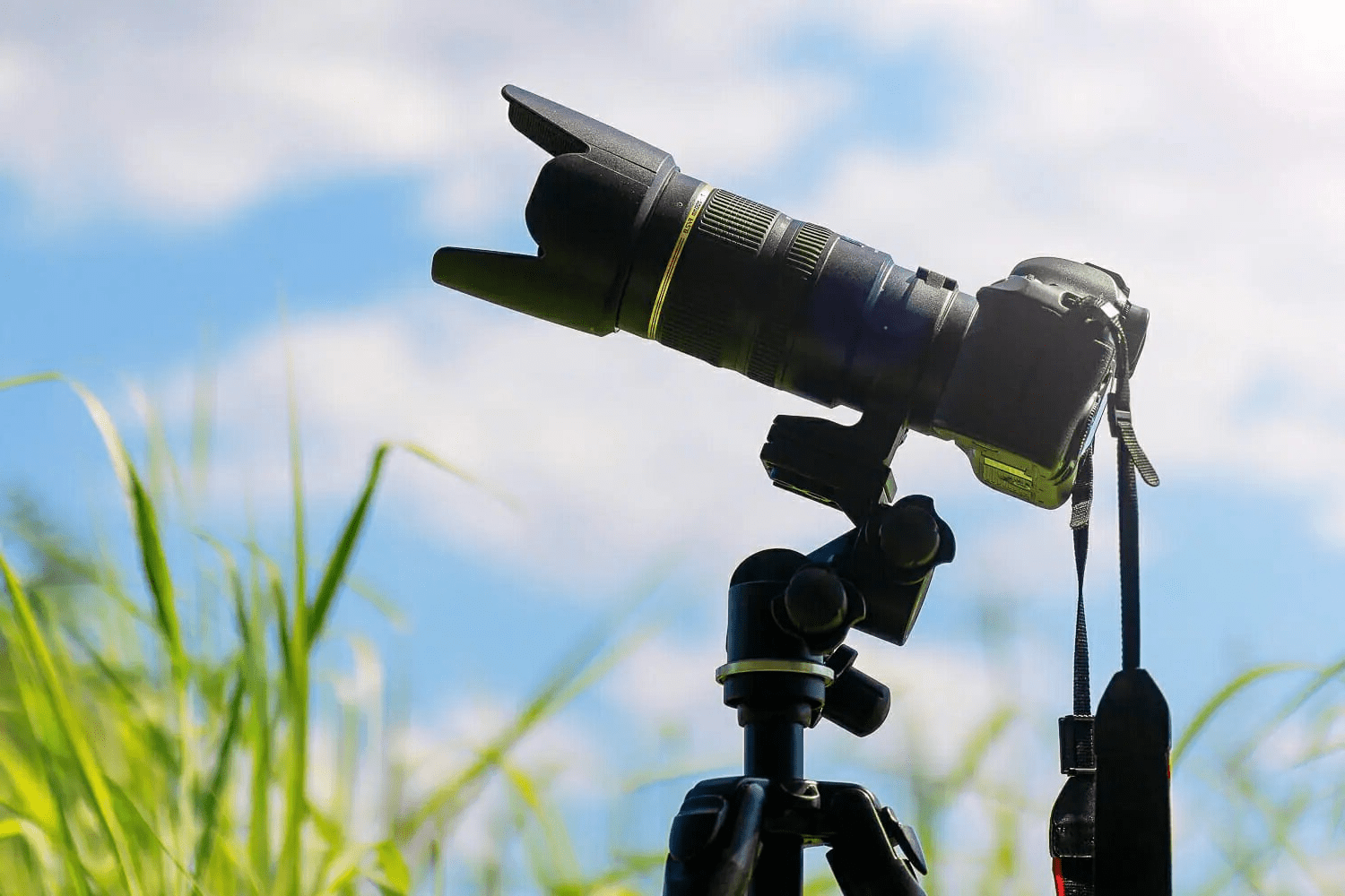 Compact travel camera