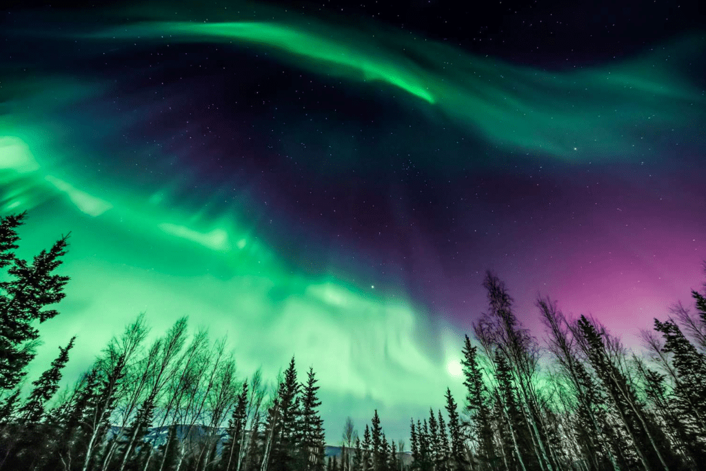 The Arctic Allure Guide To Capturing The Northern Lights
