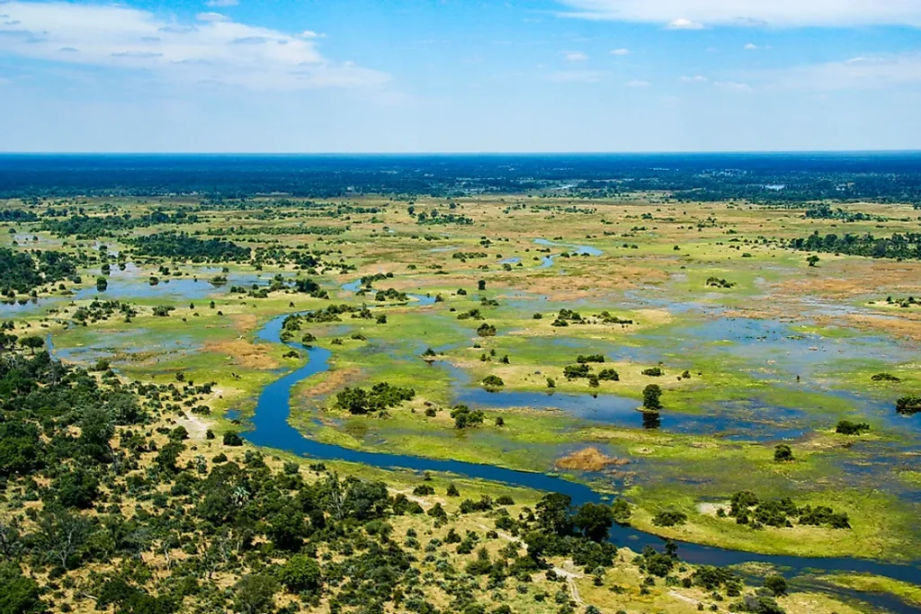 Travelers exploring the majestic landscapes of Africa