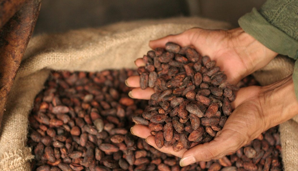 Artisan chocolates displayed in a shop in Quito.