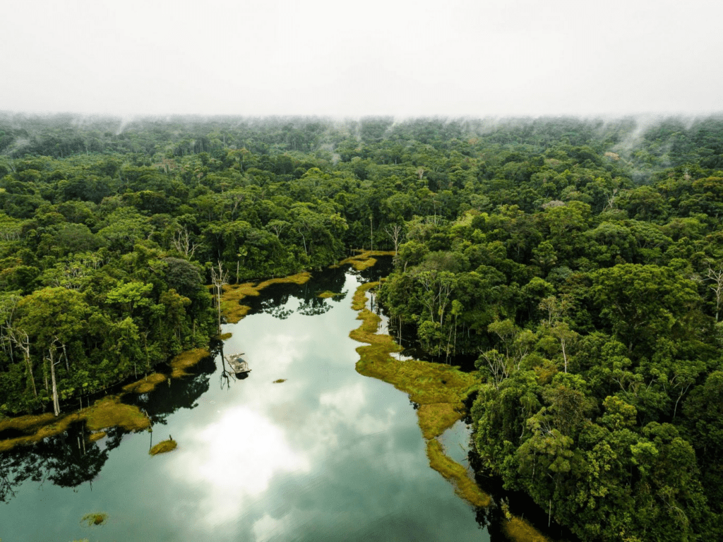 Epic Moments A Personal Reflection On Exploring The Amazon Rainforest