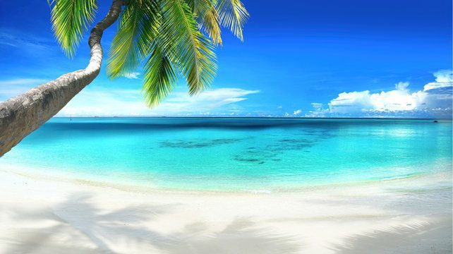 Exploring the beaches of Maldives