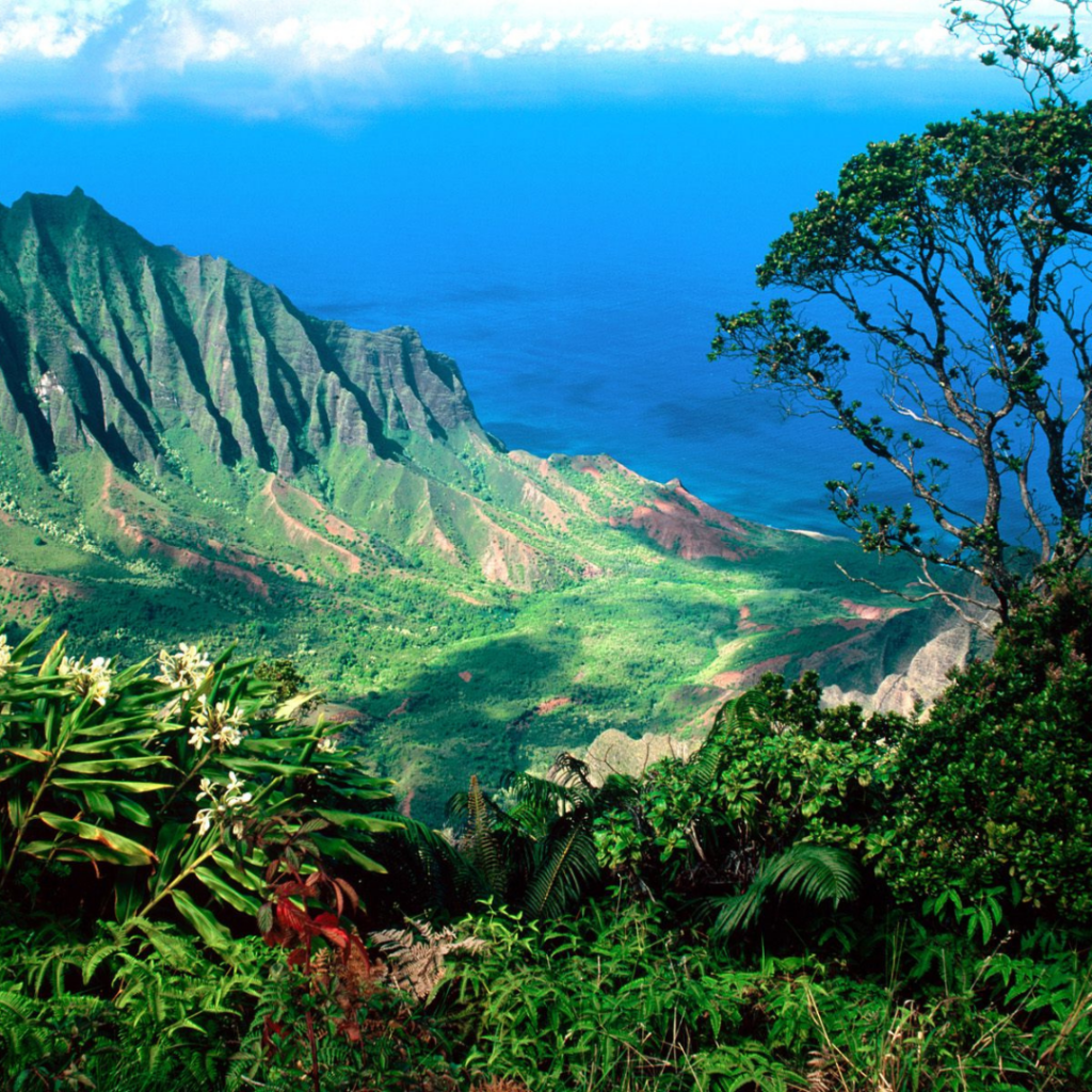 Art galleries and boutiques in Hanapepe, Kauai