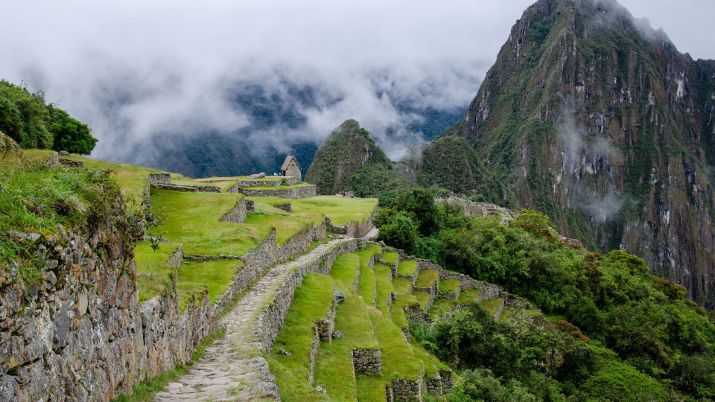 Lush landscapes along the Inca Trail with mountains in the background