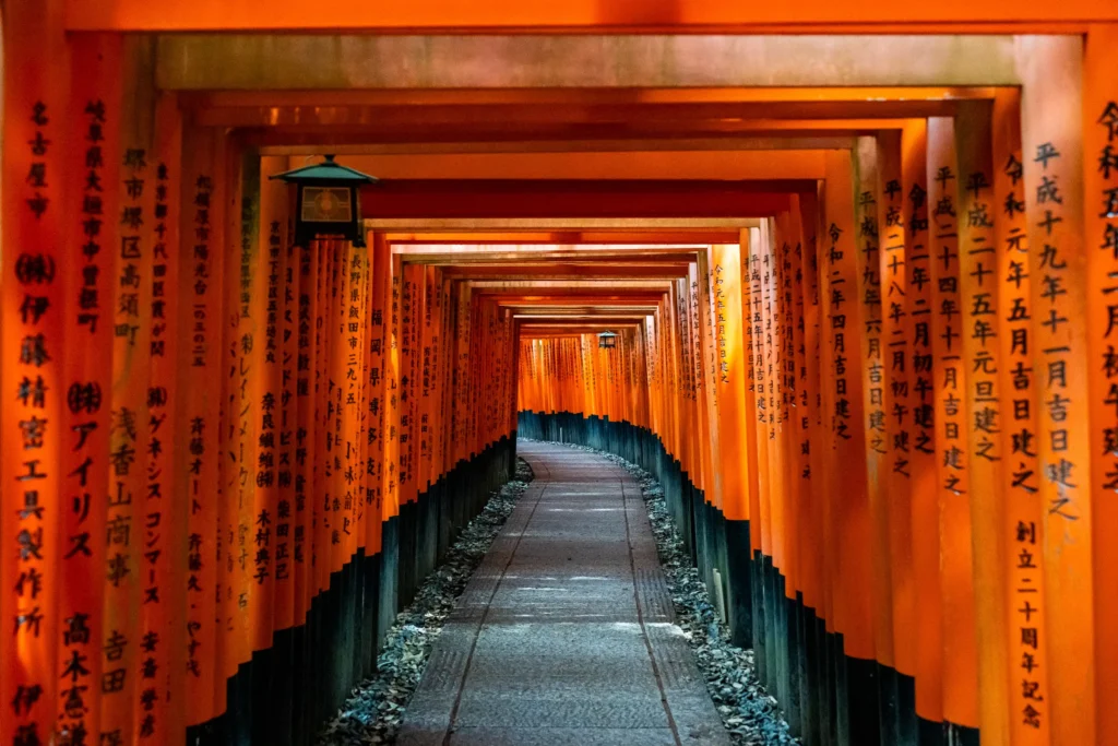 Photographer capturing Kyoto's essence