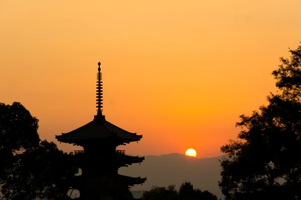 Tips for stunning photography in Kyoto