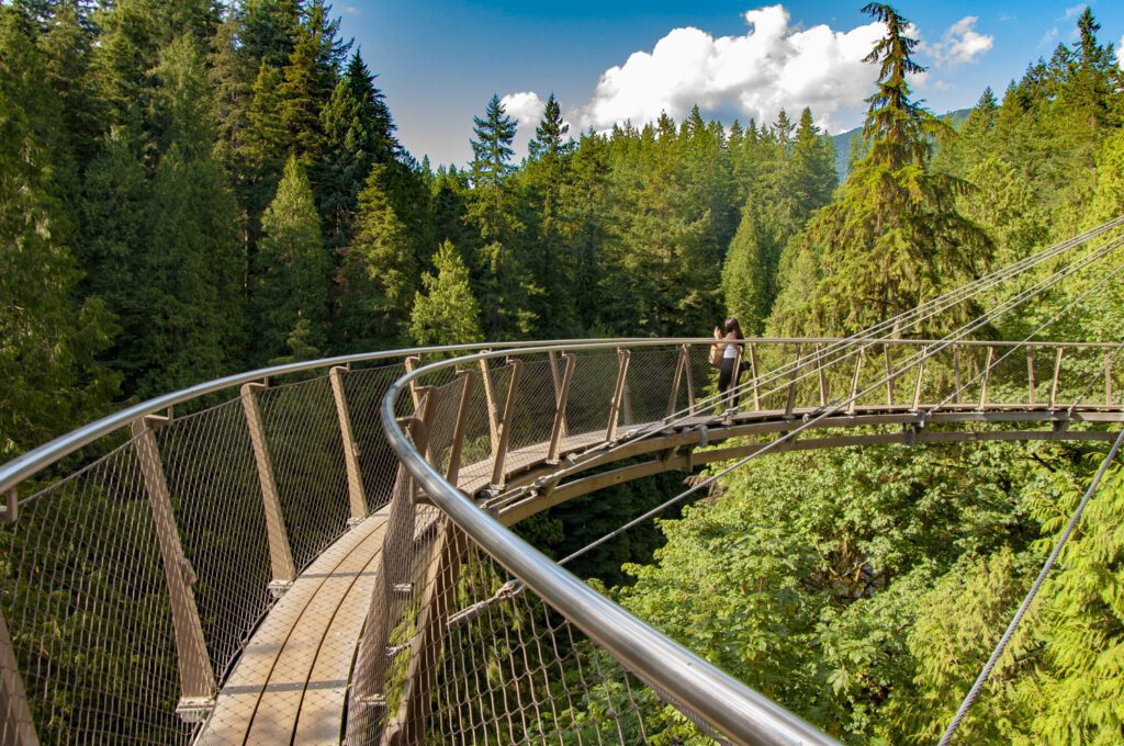 Capilano Suspension Bridge surrounded by forest