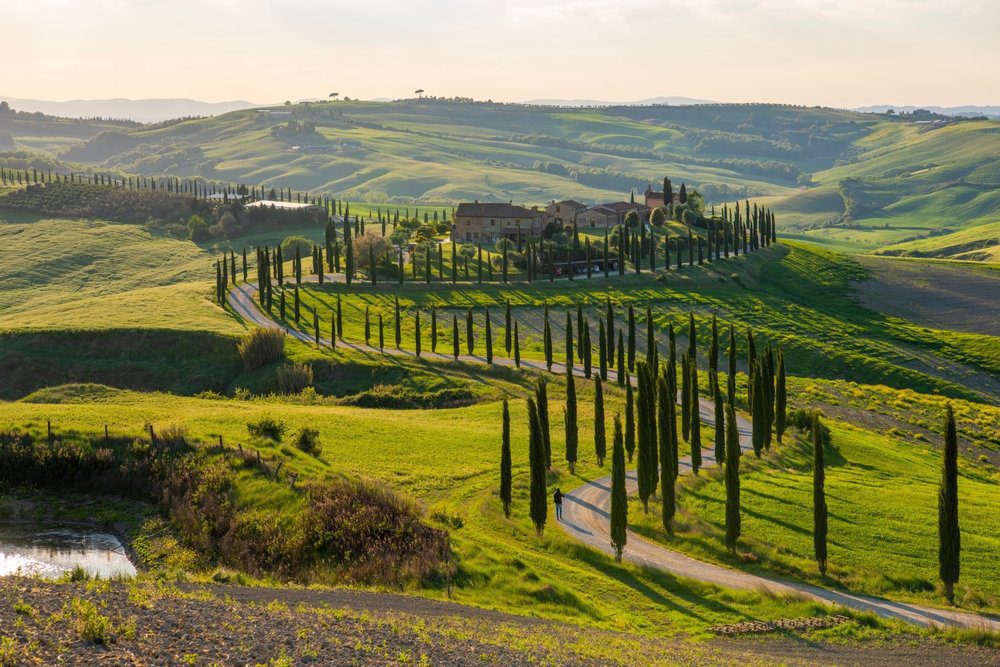 The scenic countryside of Tuscany with vineyards and olive groves