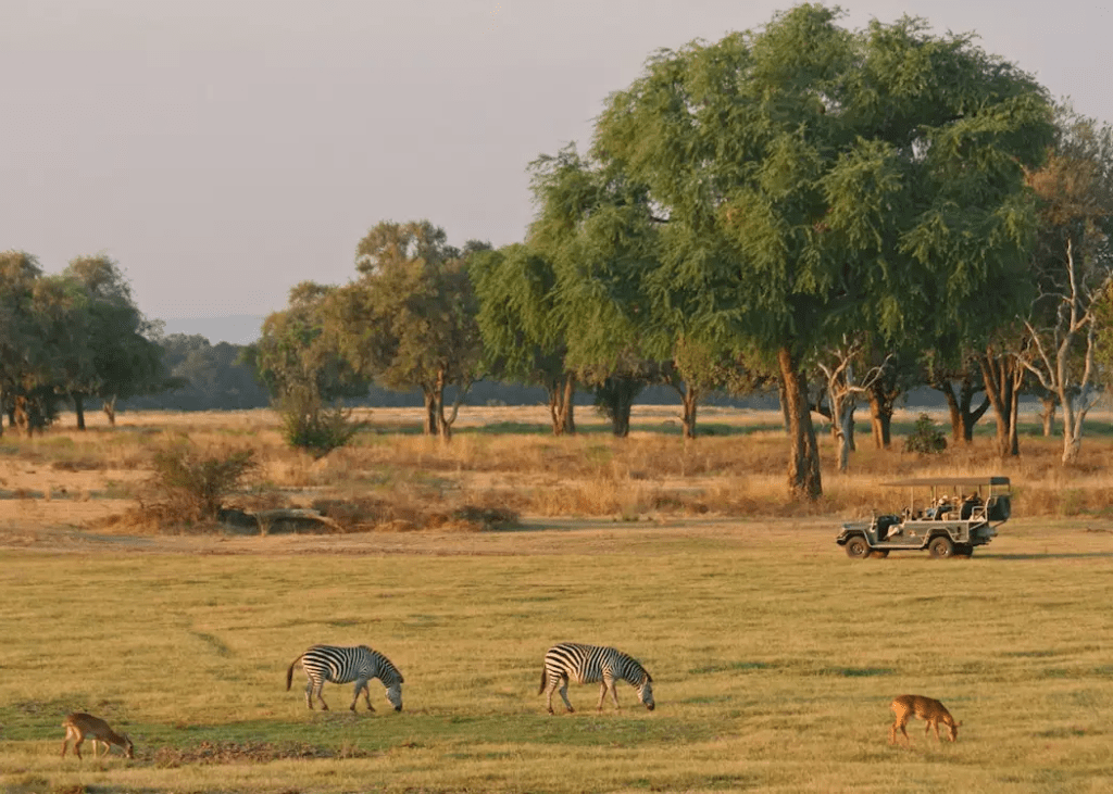 Scenic View of South Luangwa National Park