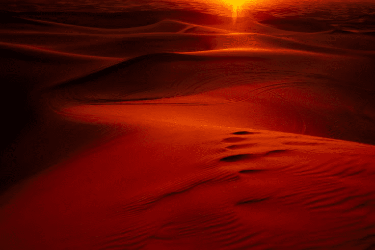 Arabian Oasis Camel Treks In The Dubai Desert 2