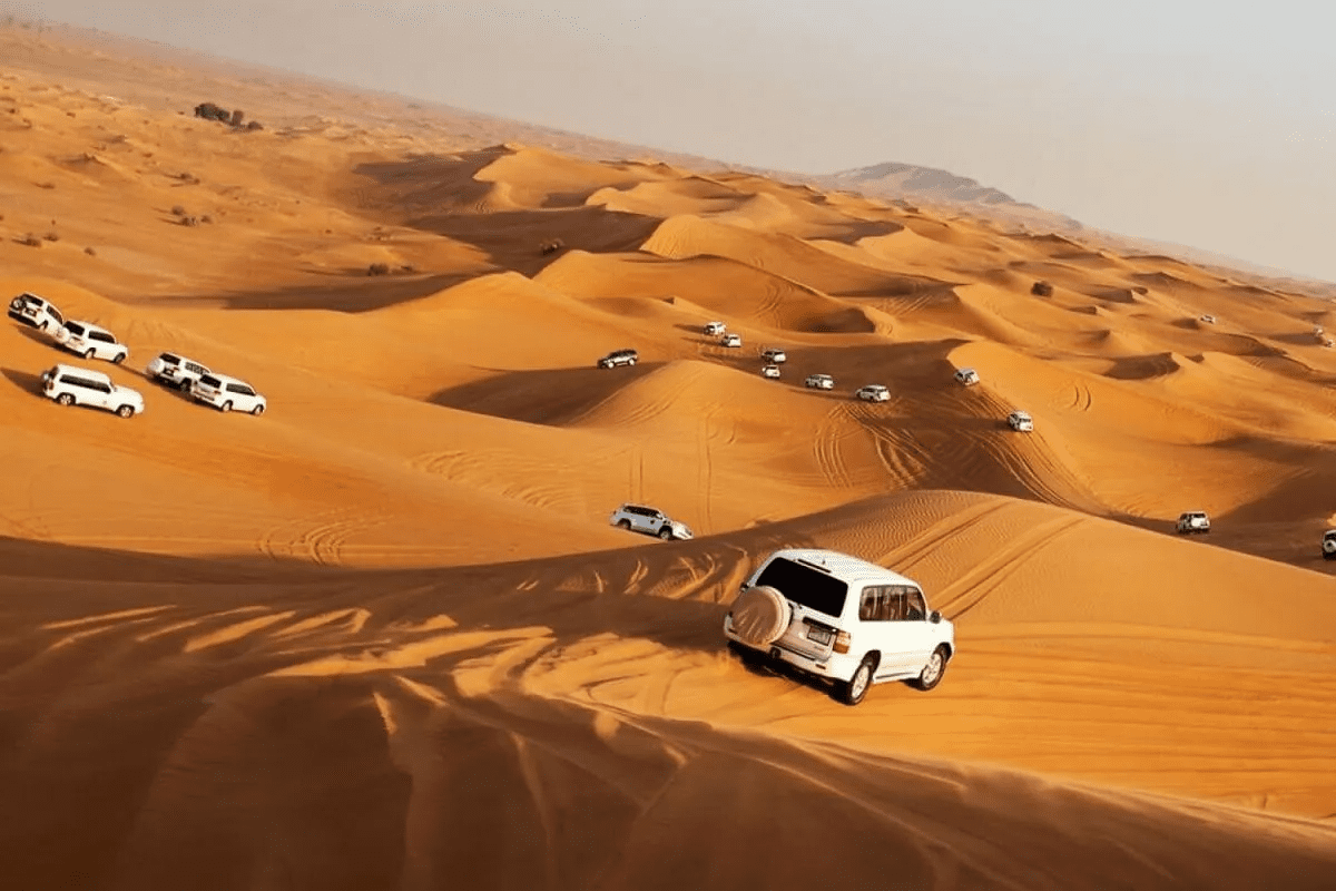 Camel trekking adventure in the Dubai Desert