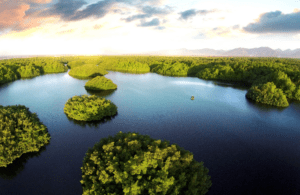 The natural wonders of Trinidad
