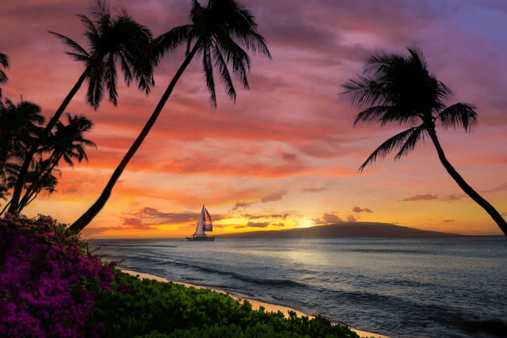 Caribbean Charms Sailing The Grenadines On A Private Yacht