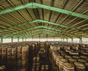 Barbados Rum Tasting Experience