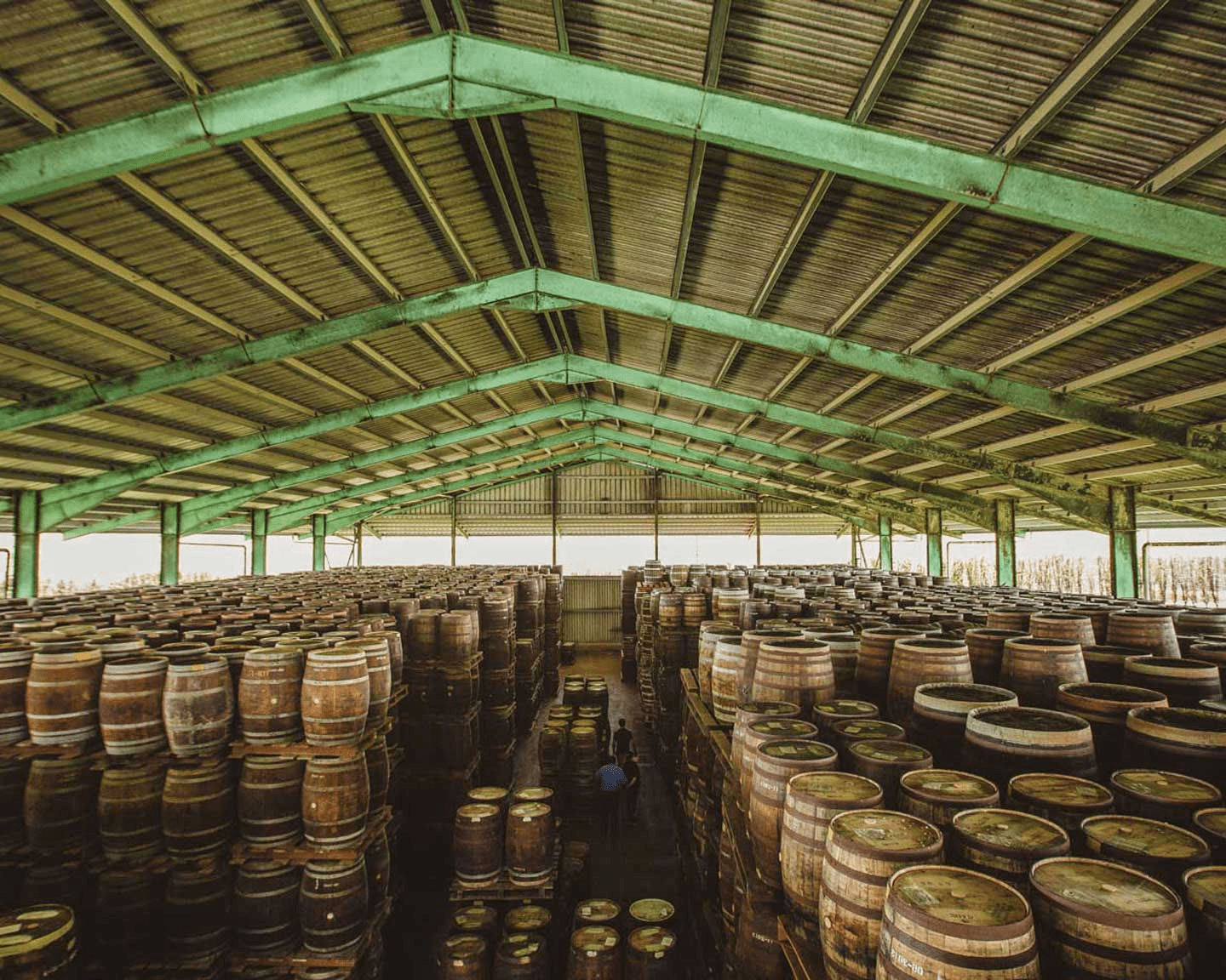 Caribbean Dreams Savoring Rum Tastings In Barbados