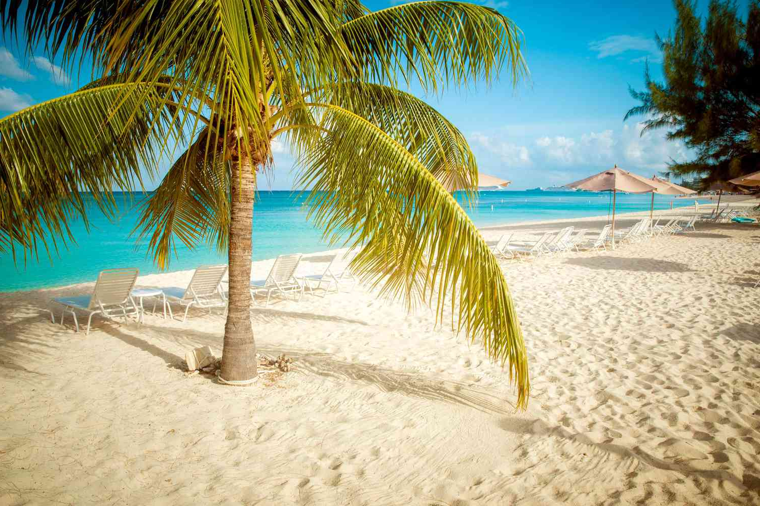 Exploring the underwater world of the Cayman Islands