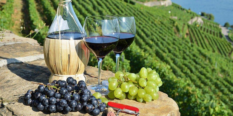 Tasting Chianti wines in Tuscany