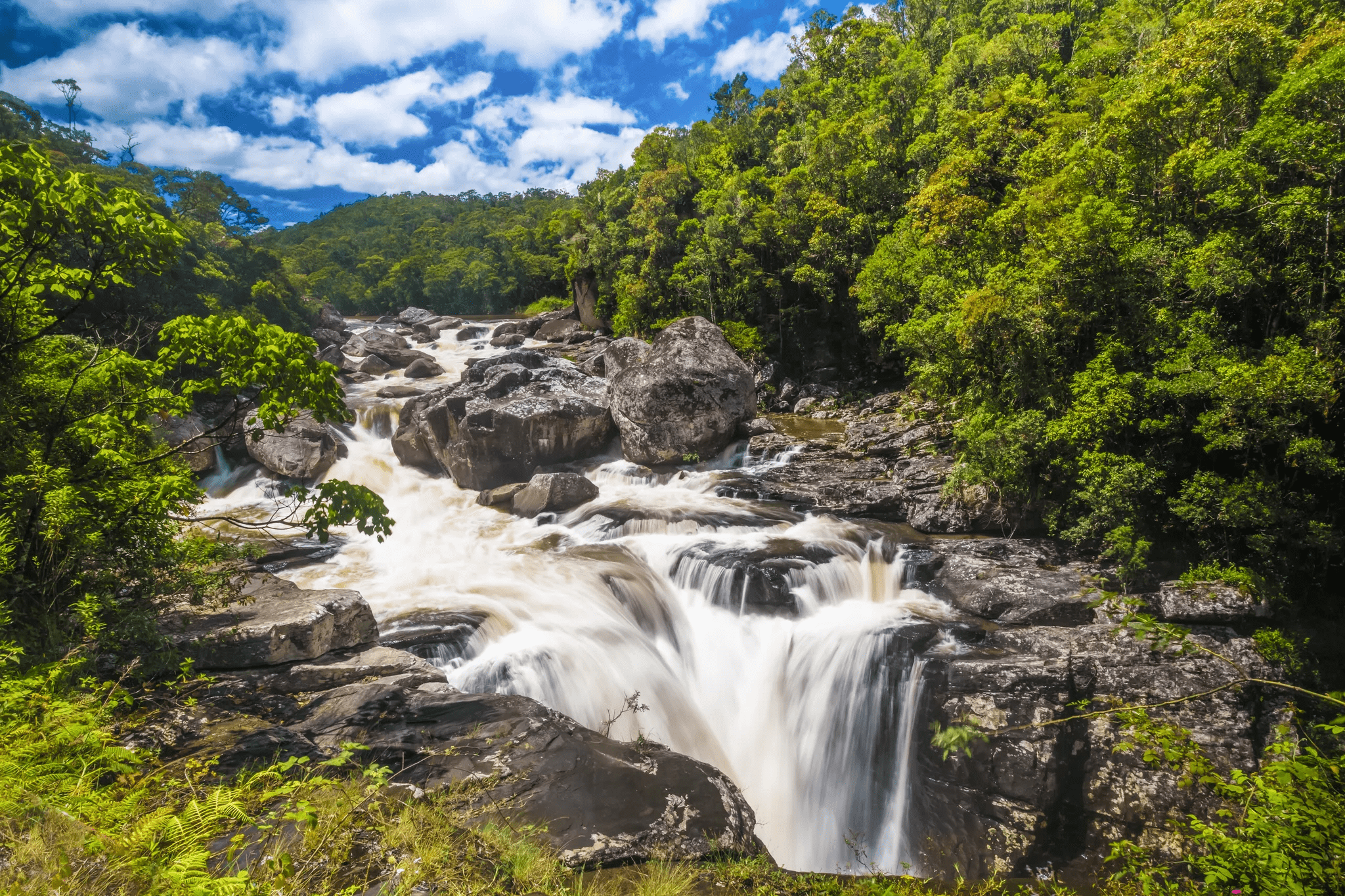 Exploring Rainforests of Madagascar
