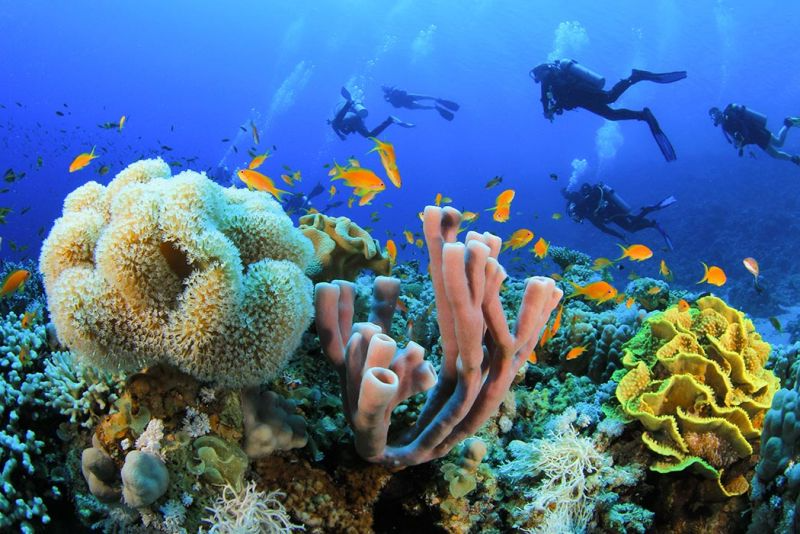 Maldivian Majesty Luxury Resort Stays In The Atolls