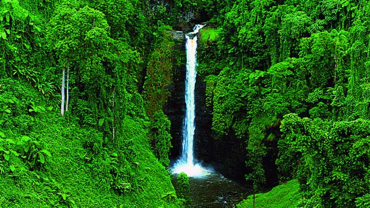 Hiker enjoying the view of Papapapaitai Falls