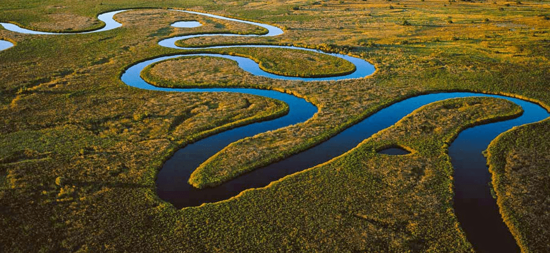 Savannah Sojourn Safari Experiences In Botswana Okavango Delta 2