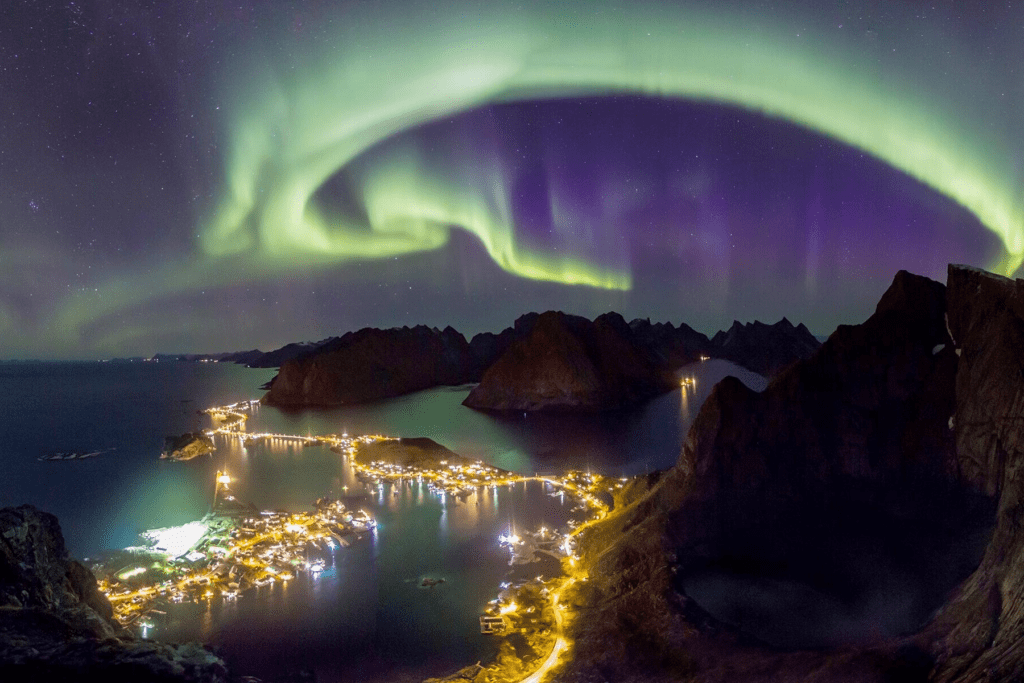 Scandinavian Secrets Whale Watching In Norway Tromso
