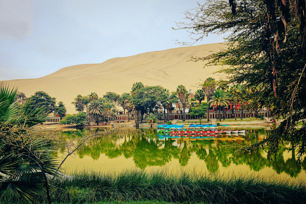Experience the thrill of sandboarding down the dunes of Huacachina
