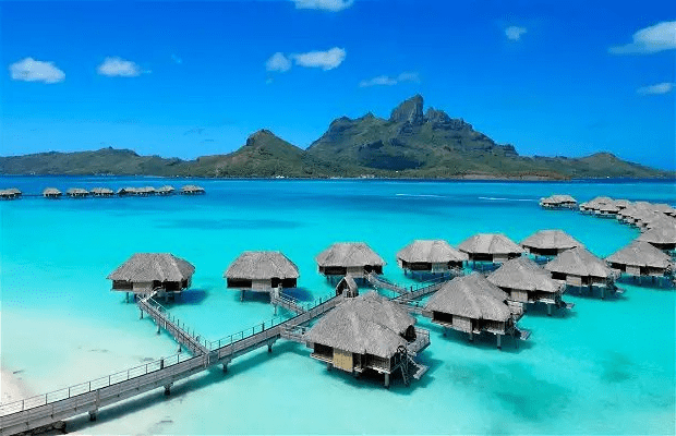 South Pacific Splendor Snorkeling With Manta Rays In Tahiti 2
