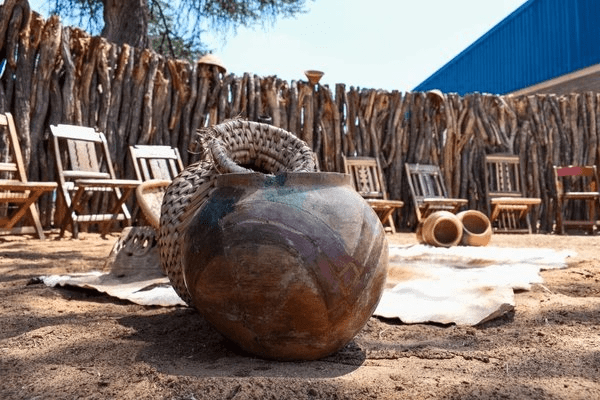 Wildlife in the Okavango Delta